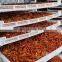 Industrial food dryer fruit vegetable fish dehydration machines