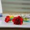 Cheap Mastor multi-colored fresh cut carnations