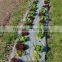 non-woven mulch cover wholesale