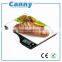 Factory Supply Kitchen Scale CK350, Electronic Kitchen Scale 5kg capacity, 3D picture printing Blue backlight function