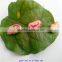 light speckled kidney beans supplier(long shape)