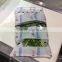 vegetable and fruit automatic pillow filling machine