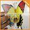 Worth Purchasing Discount off 3d Sticker,room Decor 3d Wall Stickers