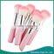 Wholesale 6 Color Makeup Blush Chemical Powder Blush with Blush Brush