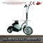Stand up scooter 350W HL-E41A