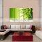 Framed 5 panel feng shui canvas printed services living room decor