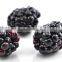 High quality IQF Frozen Blackberry with best price