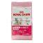 Dog Food Bag