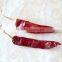 2016 New Dried Chili, Export Chili Pepper American Red Chili