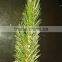 PVC Pine Needles (Normal end and Fork end)