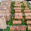 China supplier New product 1/150 Residence community architectural model