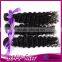 2015 Hot Sale Wholesale Fast Shipping Rosa Hair Peruvian 100 Percent Human Curly Hair Weave 100% virgin human remy hair