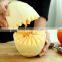 stainless steel fruit tools Cut fruit multifunction devices