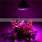 Full spectrum grow light 12w table lamp greenhouse ,garden,hydroponic cob led grow light