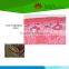 Factory supplied amphibians and reptiles individual prepared microscope slide