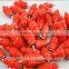Zhenhua Brand chicken nipple, drinker and feeder in promotion (Mob/whatsapp:0086-15266968635)