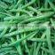 BRC,KOSHER,HALAL frozen stringless green bean