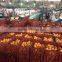 Fresh Oranges in Egypt