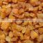 2015 new cro sweet dried apricots for sale