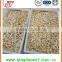 New Crop Preserved chinese factory Garlic clove in brine