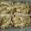 Fresh Ginger (air dried)