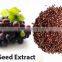 Segadora de alfalfa FerroViteC Capsule Premium Vitamins and Supplements