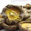 dry flower shiitake/nutrious dried xianggu for sale