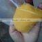 Super Sale PAC For Water Filter