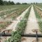 high pressure PE layflat farm irrigation hose for water transfer