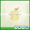 Plastic honey gate valve for used honey extractor