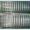 Metal panel galvanized welded wire mesh rolls from china