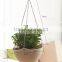 plastic hanging flowerpot with metal chain hanger