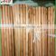 Two times Varnished eucalyptus wooden rake handle tapered end 150*2.5cm