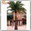 Hot sale artificial outdoor date palm trees fiberglass 6 meter for palm tree wedding decorations tree