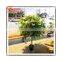 Hot sale outdoor artificial hanging marijuana plant cheap artificial plants