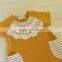 Pictures of Fall Boutique Girl Clothing Ruffle Raglan Lace Baby Dress HSD2596