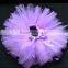 Fashion Rainbow Tutu Skirt for Girls New Design Fluffy Baby Skirt Pettiskirt for Wholesale