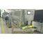 Mango peeling machine/Mango peeler/Mango Processing Factory