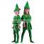 Peter Pan Robin Hood Storybook Adult Fancy Dress Party Unisex Costume