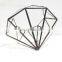 terrarium geometric glass terrarium wholesale diamond plant vases