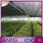 Antioxidant UV treated durable 100% HDPE agricultural shade net philippines