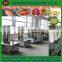 Stainless Steel Apple Peeling And Cutting Machine/ Multifunctional Fruit Peeling and Cutting Machine