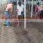 Hand held vegetable seedling transplanter, Cabbage transplanter, seedling transplanting machine