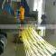 China Automatic Small Capacity Industrial Single Screw Extruder Macaroni Production Line Equipment