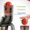 New Carrot Juicer machine Cold Press Slow Juicer Machine As Seen On TV