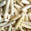 Sinocharm BRC A approved IQF Baby Corn Whole Frozen Baby Corn Whole