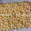 Chinese Sinocharm Frozen Fruits  Ginkgo Nut IQF Yellow Ginkgo Nut