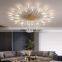 Modern Firework Ceiling Light LED Chandelier For Living Room Bedroom Home Indoor Ceiling Lamp