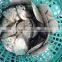 Crude moon fish with sizes 30- 40 pcs / ctn