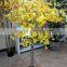 Newest hot sale artificial maple trees